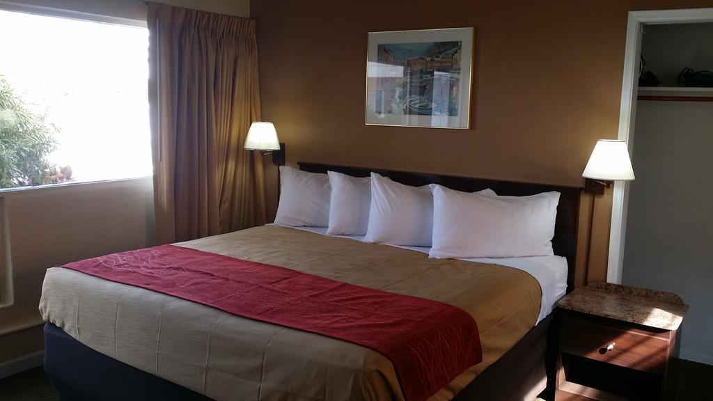 The Palms On Ocean Motel Pompano Beach Room photo