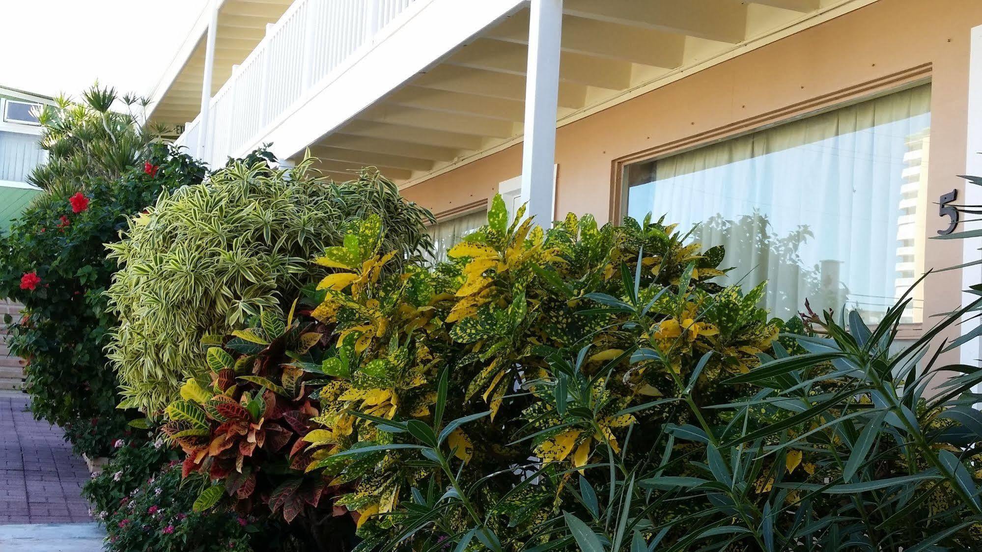 The Palms On Ocean Motel Pompano Beach Exterior photo